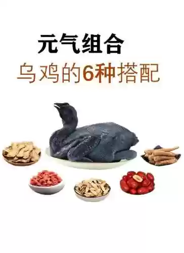 乌鸡搭配阵容插图