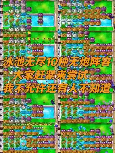 没有射手阵容插图
