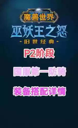 3.3.5防骑装备配置插图1