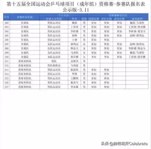 重庆全运会阵容插图1