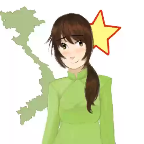 越南阵容头像插图