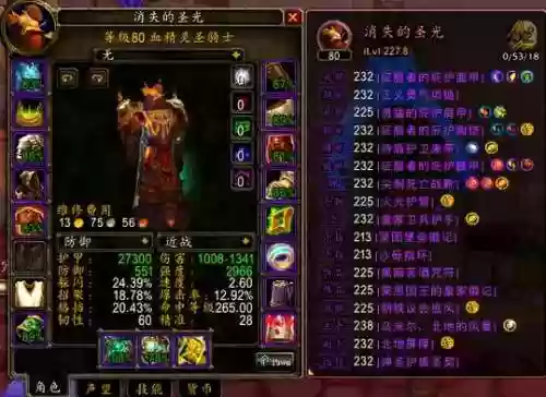 3.3.5防骑装备配置插图