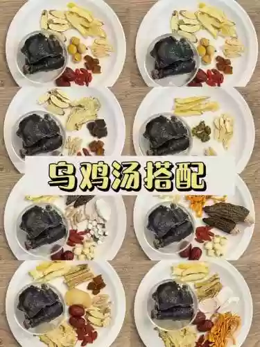乌鸡搭配阵容插图1