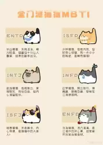 猫c阵容插图
