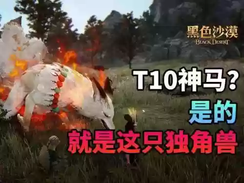 黑色沙漠坐骑攻略插图