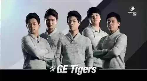 kootiger阵容插图1