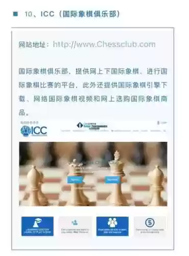 下棋阵容网站插图1