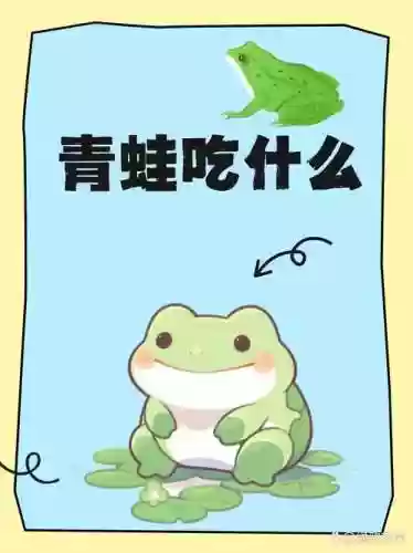 旅游青蛙攻略蜜蜂喜欢吃什么_1插图1