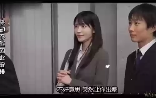 枫老师阵容_1插图1