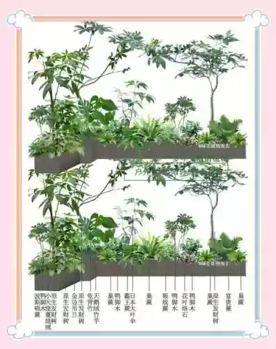 植物阵容搭配图表_2插图1