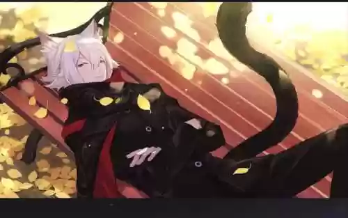 七日之都六周目攻略插图1