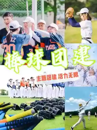 棒球阵容搭配图片插图