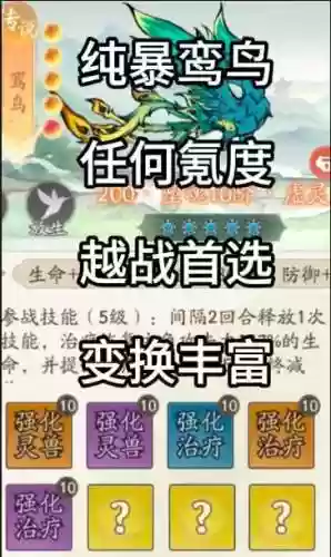 鸾鸟搭配阵容插图