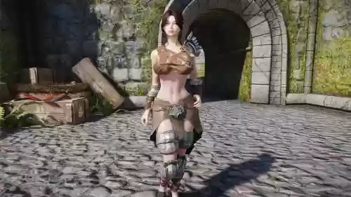 上古卷轴5装备衣服时候跳出插图