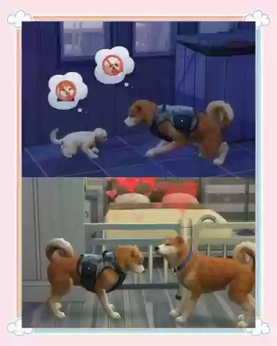 模拟人生狗有什么技能插图