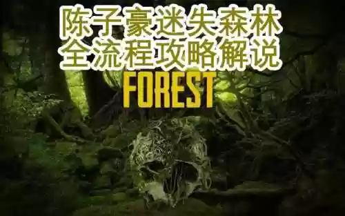 迷失森林攻略解说视频插图