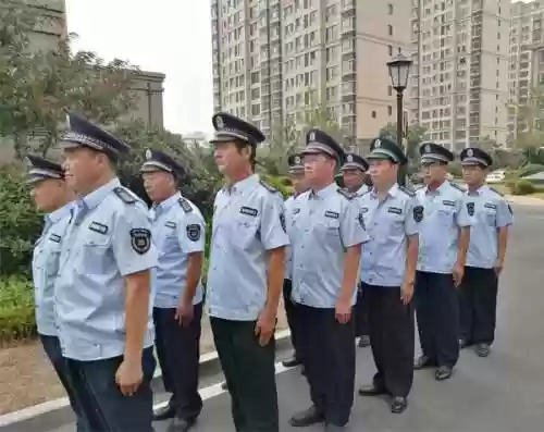 保安阵容搭配插图