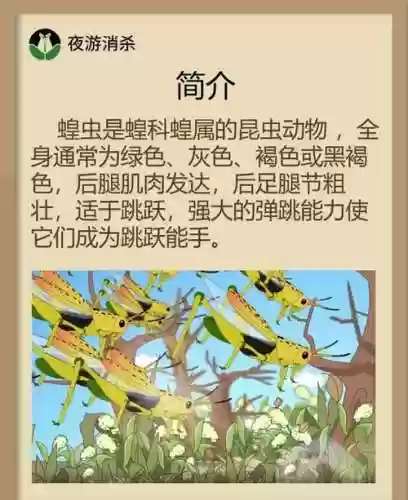 蚂蚱中单主什么技能插图