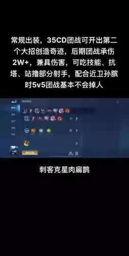 扁鹊打野搭配阵容插图