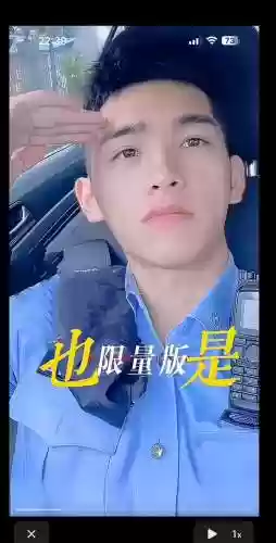 29天攻略警察插图1