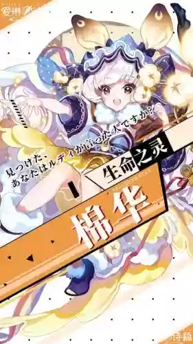 棉华阵容搭配插图