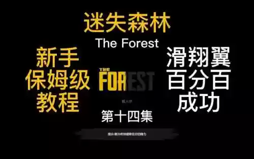 迷失森林攻略解说视频插图1