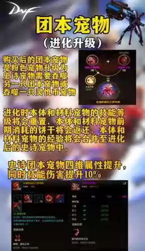 宠物装备怎样镶嵌插图