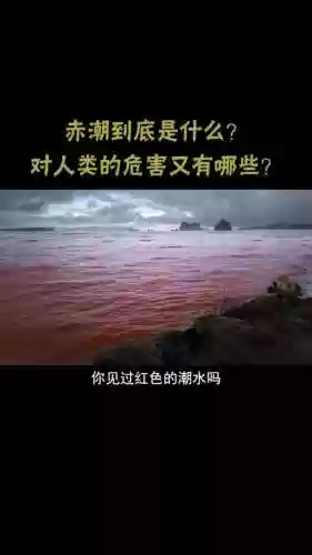 赤潮32关攻略指挥学院插图1