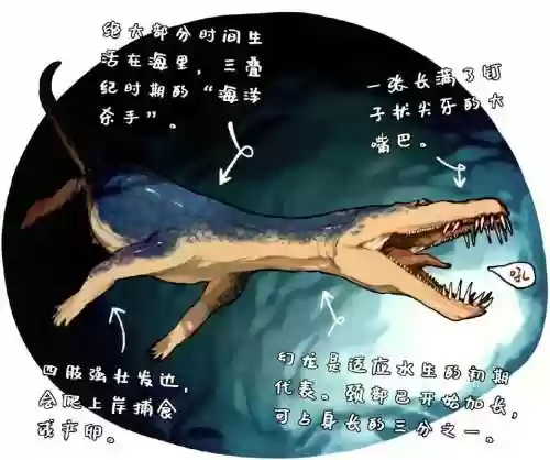 幻龙硬核技能插图