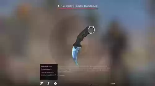 csgo显示自己的武器插图