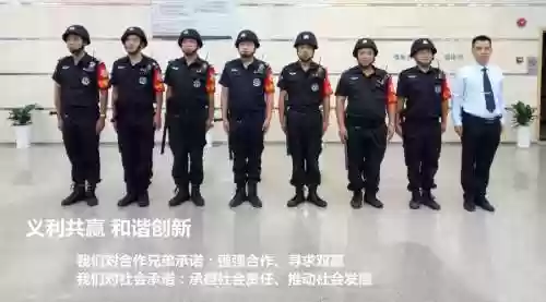 保安阵容搭配插图1