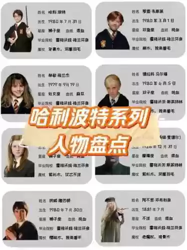 哈利波特单人阵容搭配_1插图