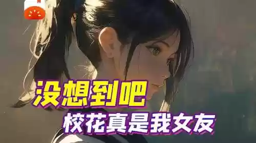 高冷校花的痴汉日常攻略插图1