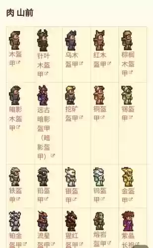 泰拉瑞亚狼人肉山后装备插图