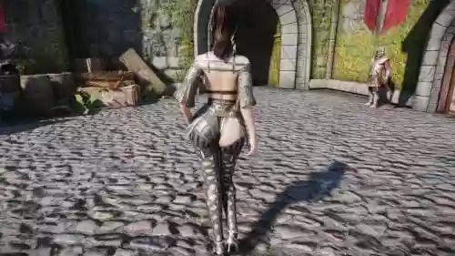 上古卷轴5装备衣服时候跳出插图1