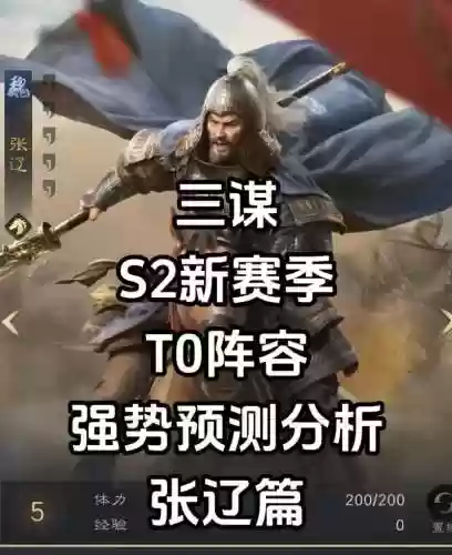 x三国张辽阵容搭配插图