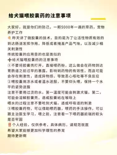 宠物制药的技能插图