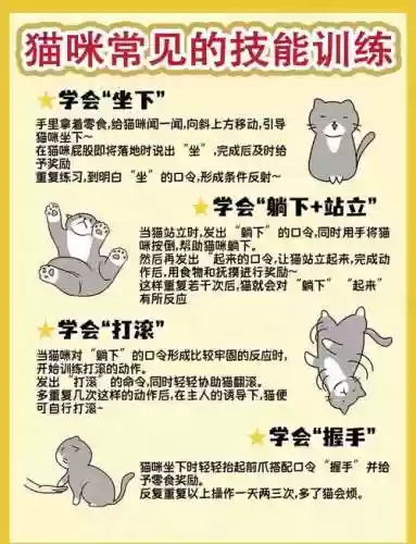 猫改技能选择，猫技能加点插图