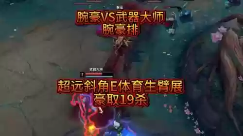 武器大师职业比赛2018，武器大师对战视频插图