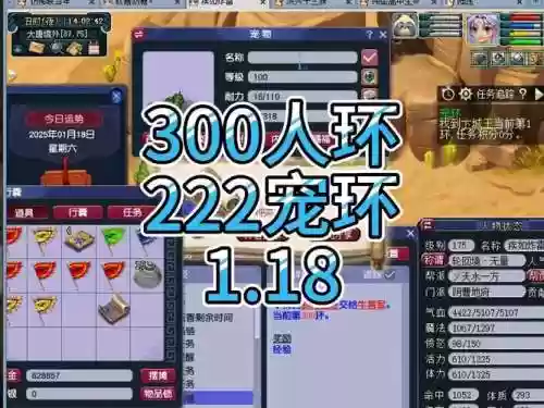 梦幻西游59跑宝宝环，梦幻西游59级跑宝宝环插图