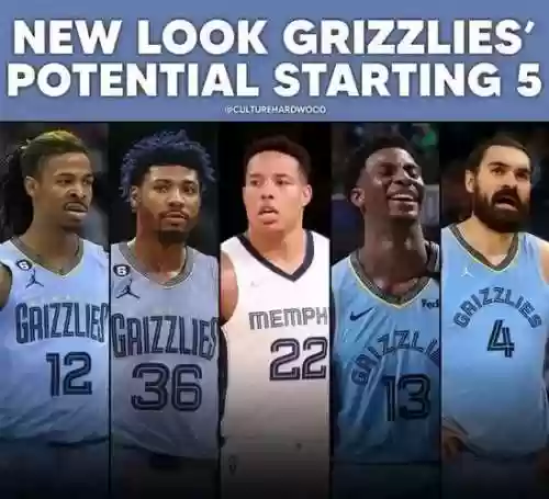 2018赛季灰熊阵容搭配,灰熊2017阵容插图1 2018赛季灰熊阵容搭配,灰熊2017阵容插图1