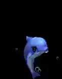 梦幻西游超级孔雀评测6，梦幻西游超级孔雀和超级海豚插图1