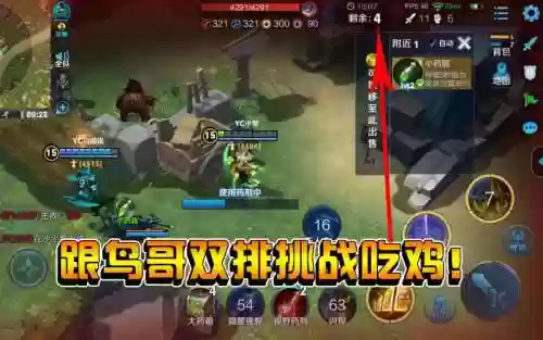 王者荣耀鸟哥奇葩阵容搭配，鸟哥王者荣耀吃鸡视频插图