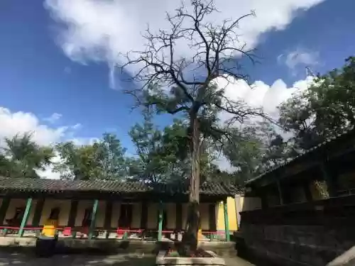 五毒单人荡平龙首山攻略,荡平龙首山的信插图1 五毒单人荡平龙首山攻略,荡平龙首山的信插图1