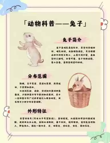 兔子进化攻略，兔子进化论插图1