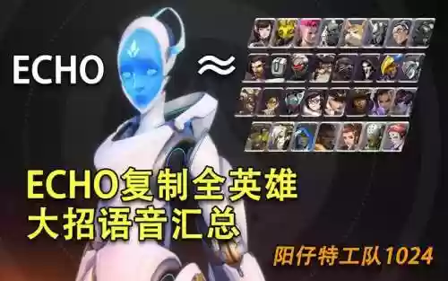 回声武器练成，回声适合哪些英雄插图1