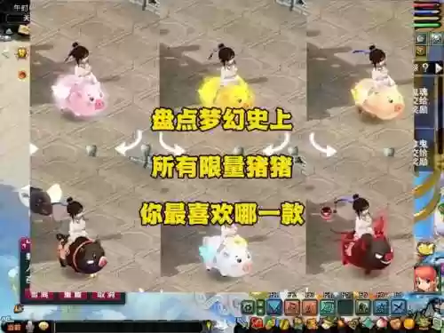 梦幻西游69夫妻金猪，梦幻西游69组合插图