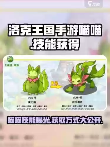 猫技能视频，猫猫技能插图1