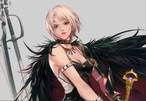 女剑宗武器，女剑宗穿板甲的吗插图1