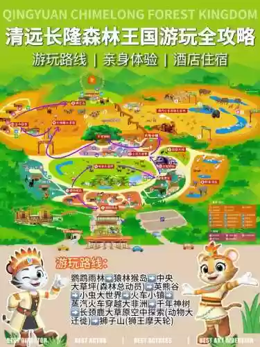 森林王国最强阵容搭配,森林王国之游插图 森林王国最强阵容搭配,森林王国之游插图